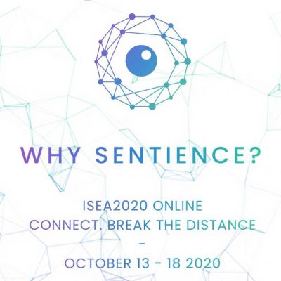ISEA2020 — Sentience